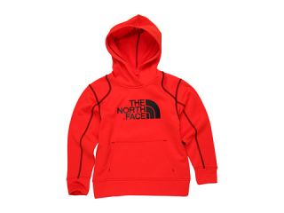 The North Face Kids Boys Surgent Pullover Hoodie 12 (Little Kids/Big 