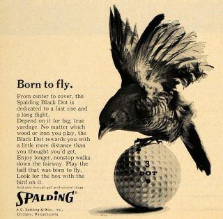 1965 Ad A G Spalding & Bros Black Dot Golfing Ball Bird   ORIGINAL 