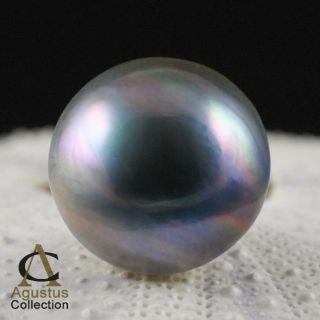 Mabe Pearl Lustrous Iridescent Blue Cultured in Sumbawa Indonesia 12 