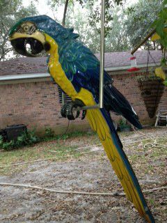 Larger Than Life Size Blue and Gold Macaw on Perch Almost 4ft