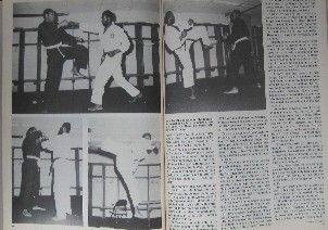 84 Karate Illust Kung Fu Martial Arts Felipe Garcia