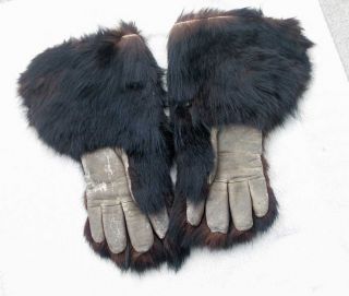   of Animal Fur Gloves Owned by Grizzly Adams 0f Charlton, Mass.Nice age