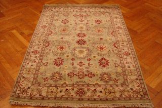 Mint Green Color 4x6 Antique Look Agra Rug