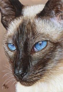 Akiko L E ACEO Print Siamese Cat Kitten Painting Art