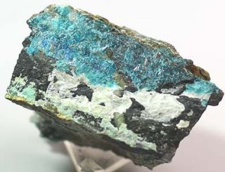 Vibrant Blue Caledonite Crystals California Mineral Specimen 