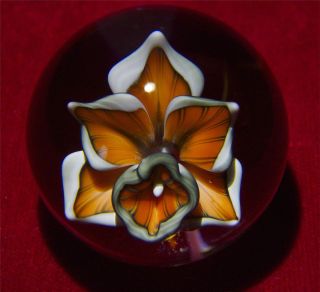   Torch Born Glass Halloween Orchid Seasonal Marble Hand Made Art Gift