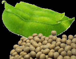 in amino acids and vitamins a b6 d e soybean