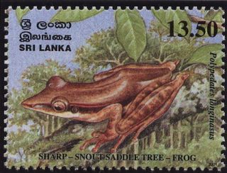   Congress of Herpetology, Endemic Amphibians of Sri Lanka, Frogs MS