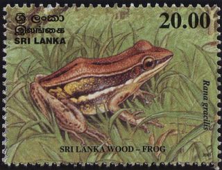   Congress of Herpetology, Endemic Amphibians of Sri Lanka, Frogs MS