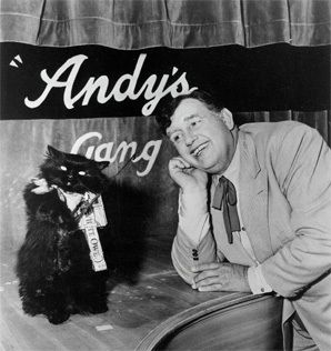 ANDYS GANG, 14 classic TV episodes, Andy Devine, 4 DVD box set