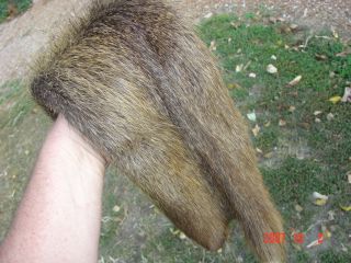 Nutrea Pelt Tanned Skin Water Animal Hide Trapper Fur