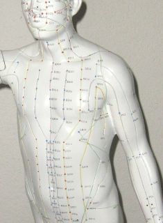 22 male acupuncture model 22 inch human acupuncture model acupuncture 