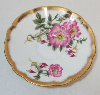 believe the flowers are Wild Rose and Fuchsia. The saucer is around 