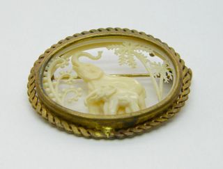 ANTIQUE VICTORIAN FINELY CARVED CAMEO BROOCH DEPICTING ELEPHANTS