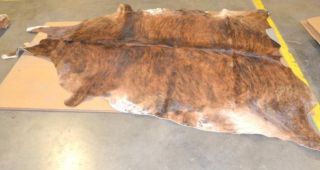 Unbranded Cow Hide Real Fur Animal Pelt Home Decor Rug Floor Mat 