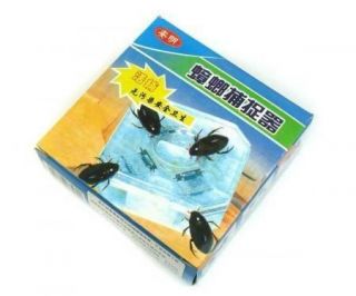 Cockroach Traps Clean Effective Easy Insect Killer