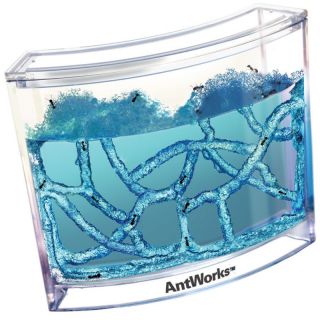 product description study the life cycle of ants in this space age gel 