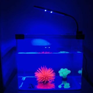 Aquarium Fish Tank Flexible Arm 48 LED Clip Lamp ★2 Mode Blue White 