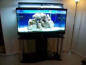   Aquarium Wave Front Glass Tank and Stand  Very Nice and Rare Fish Tank