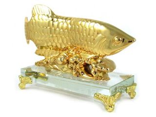 Wealth Inviting Feng Shui Golden Arowana Dragon Fish