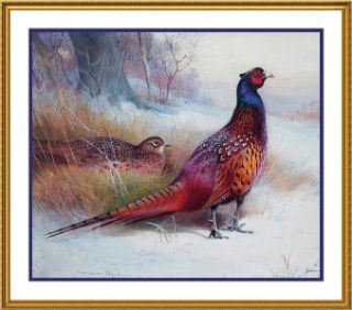 Archibald Thorburns Old English Pheasant Counted Cross Stitch Chart 