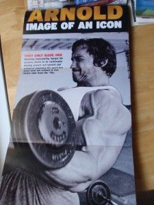 FLEX bodybuilding muscle magazine/ARNOLD SCHWARZENEGGER 9 04 (Poster)