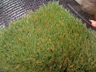Artificial Turf Grass Synthetic Grass Pet Friendly Turf Value Turf St 
