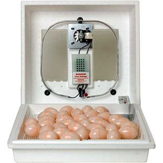 Little Giant Circulated Air Egg Incubtor with Forced Air Fan Kit Model 