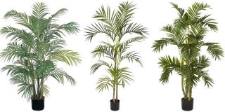 Areca Palm Silk Tree Green 32x 32 5336 24x 24 5314 33x 33 