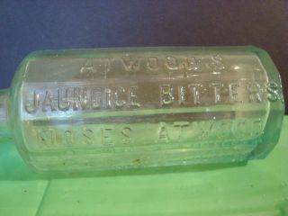 Moses Atwoods Jaundice Bitters 12 Sided Bottle Scarce Georgetown 