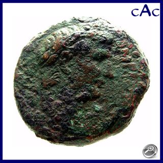 CAC Augustus Syria Antioch Laureate Head SC Within Wreath 27 BC 14 Ad 