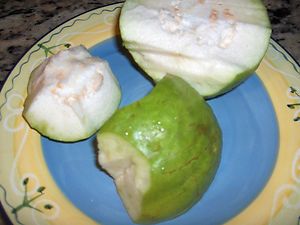   Giant Thai Guava Seeds Fruit Trees Vegetable Tropical Plants
