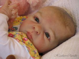   Cherubs Reborn Amy by Olga Auer Baby Doll Layaway Available
