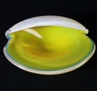  Cenedese Murano Glas Schale in Muschel Auster Opalglas Gelb