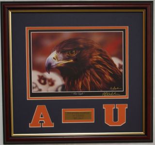 Auburn Tigers 2010 National Championship framed print War Eagle