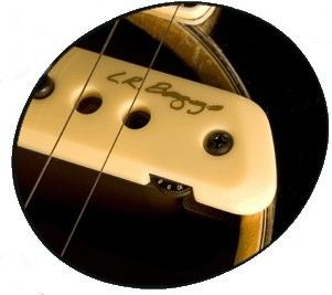 LR Baggs M1 Active Magnetic Dual Coil Guitar Soundhole Pickup w Volume 