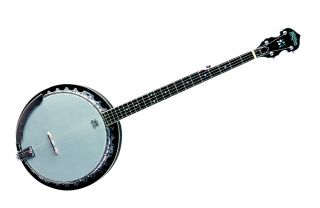 the washburn b9 banjo is an entry level banjo that