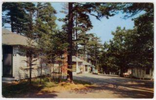 B0106 Hinckleys Dream Wood Motel Bar Harbor Me Postcard
