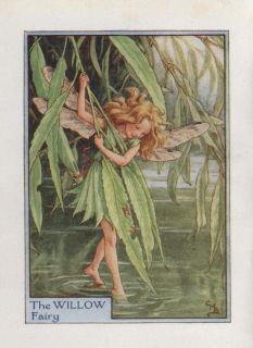   Willow Fairy Vintage Print c1930 Cicely Mary Barker Original
