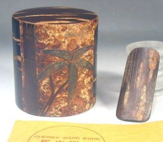 Japanese Tea Ceremony 72 Cherry Tree Bark Wood Natsume Caddy Canister 