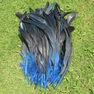 50Pcs OVER BADGER SADDLE ROOSTER FEATHERS Blue 2 colors 10 12 inches 