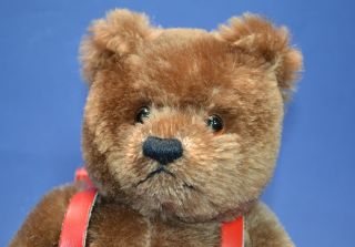 Kay Barton Mohair Bear with Red Leatherette School Satchel
