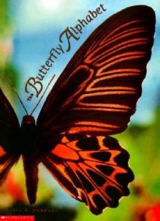 The Butterfly Alphabet by Kjell B. Sandved 1999, Paperback