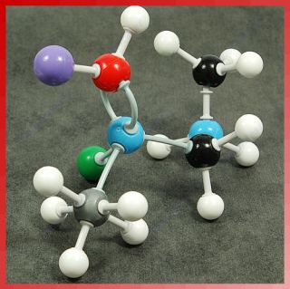 atom molecular models set for teacher organic chemistry from hong