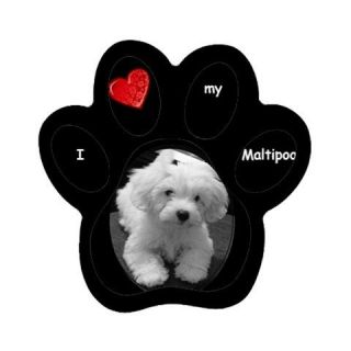 Personalized Ur Name Magnet Maltipoo Puppy Maltese Poodle Bichon 