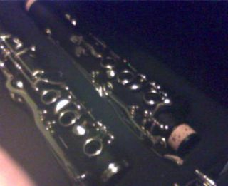 2011 model G clarinet(pitched in G, german/albert fingering system 