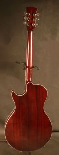 Acoustic Electric Thinbody F Hole Guitar All Solid Archtop Archback 