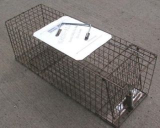   Cat,Mink,Rabbit,Skunk Live animal cage trap,Kage All Model K 151 trap