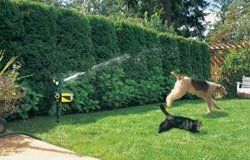  motion activated animal deterrent scarecrow outdoor animal deterrent 