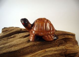   Turtle Hand Made Figurine Amphibians Reptile Wood Sculpture